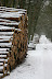 IMG 0732 Fotoalbum