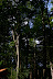 IMG 3061 Fotoalbum