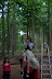 IMG 2816 Fotoalbum