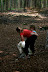 IMG 2895 Fotoalbum