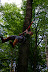 IMG 2971 Fotoalbum