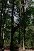 IMG 3020 Fotoalbum