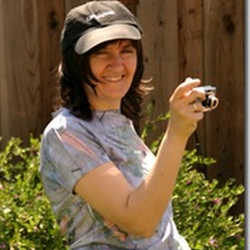 Month in Review – April 2010