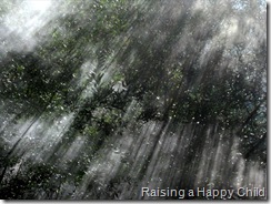 Sep20_Redwoods_SM