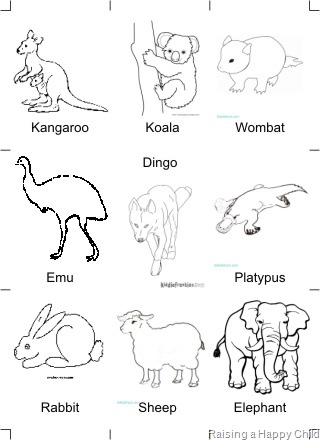[Animals2[2].jpg]