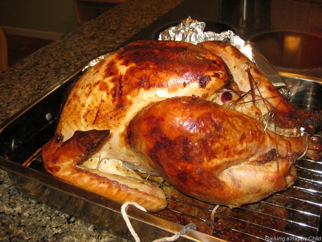 [Nov25_Turkey[3].jpg]