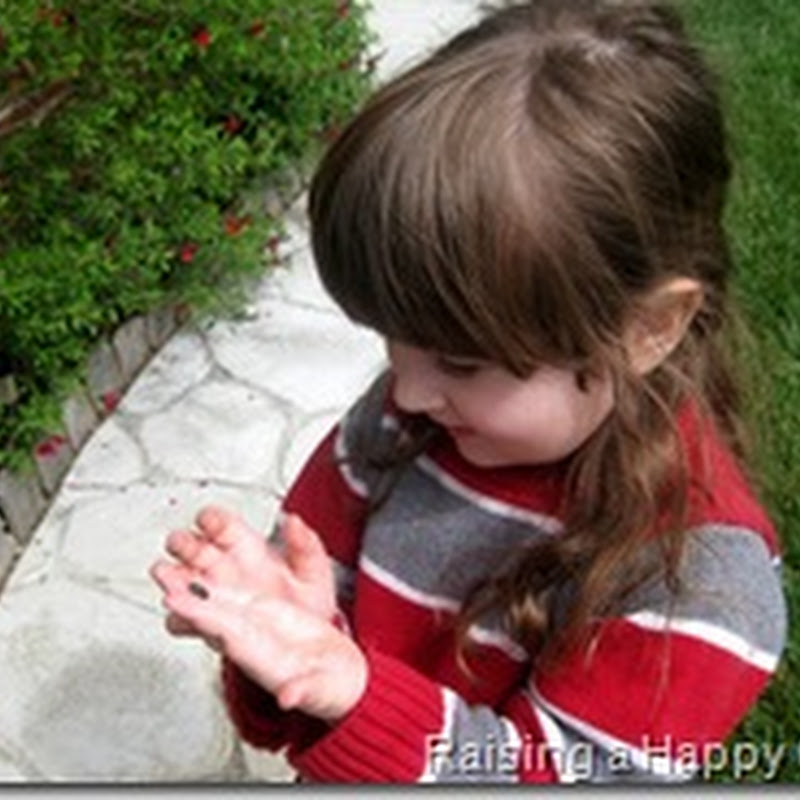 Bugs, Bugs, Bugs…