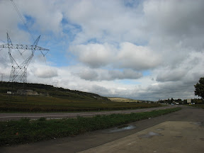 Druivenvelden