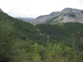 Het watervalletje in de verte.