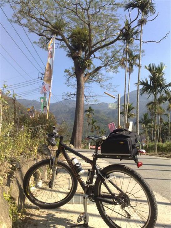 [bike20091128009.jpg]