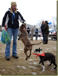 Lauren puppy bowl