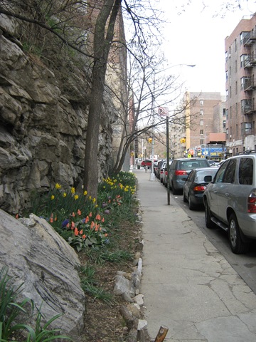 [Easter 2009 003[2].jpg]