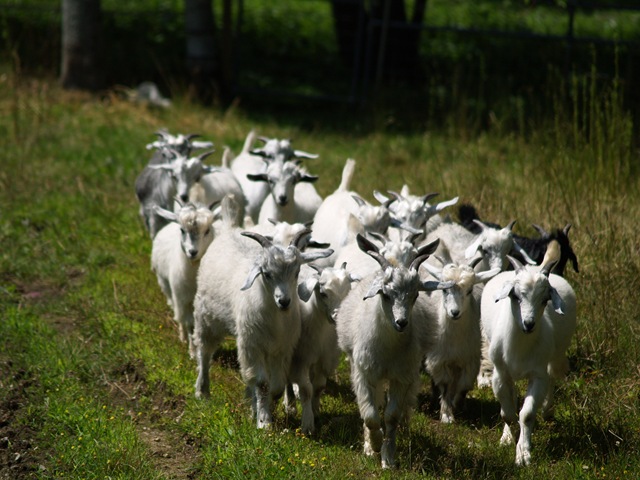 [MaineAugust20091543.jpg]
