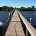P1000593-1.jpg