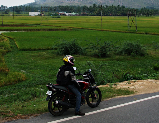 Posted Image