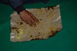 DSC_0135.JPG