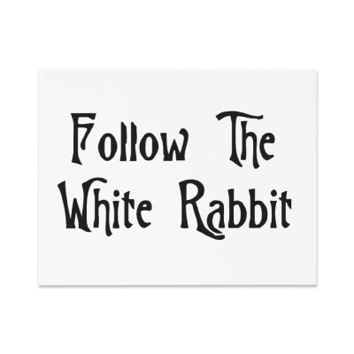 [follow_the_white_rabbit_invitation-p1610849905451642012diuo_400[12].jpg]