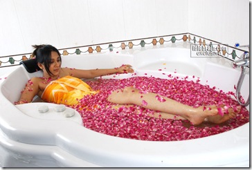 ankitha-0014