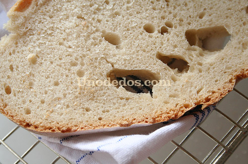 Pan con masa madre natural