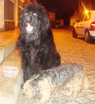Imagem