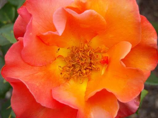 DSCN1753.JPG
