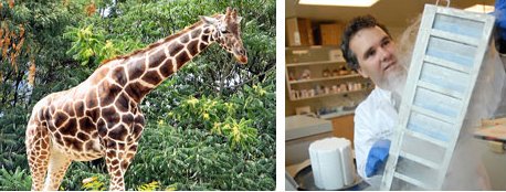 動物園の動物の糞からブタノールを作る(Tulane taps zoo poo for fuel source)