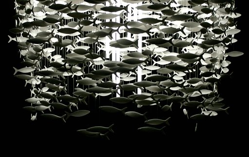 部屋を海にしてくれる集団美ライト(Shoal)