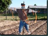 Scarecrow #1