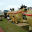 DSC01416.JPG