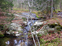 IMG_0436.JPG