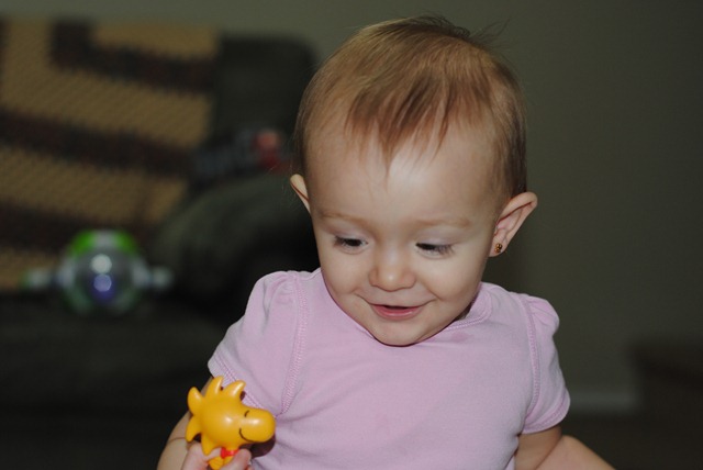 [DSC_0065[3].jpg]