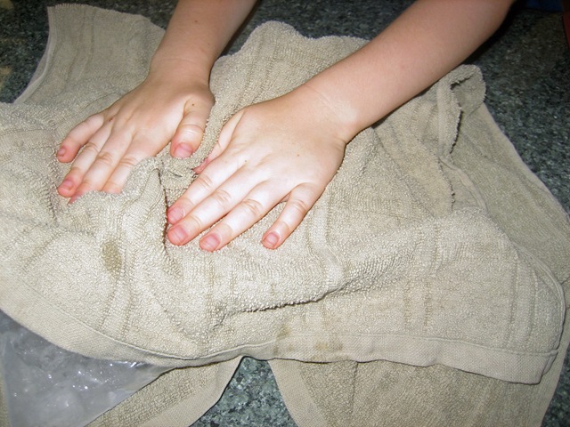 [IMG_25402.jpg]