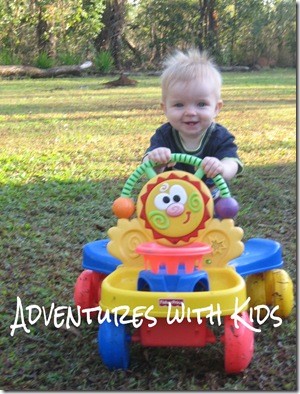 IMG_2456 IMG_2456