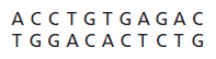 DNA Structure Image_thumb%5B1%5D