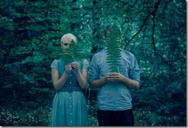 The Forest & The Trees
