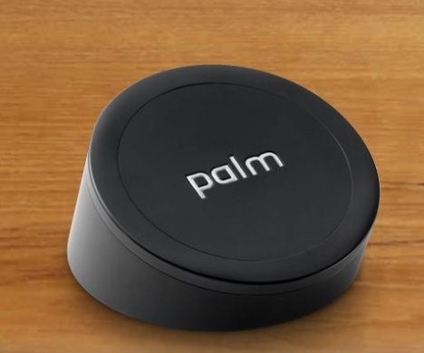 [palm-touchstone4.jpg]