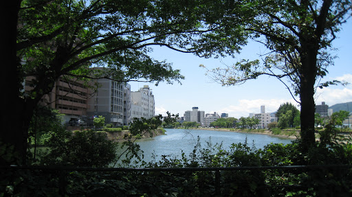 旅行保険 の掲示板投稿写真＆画像