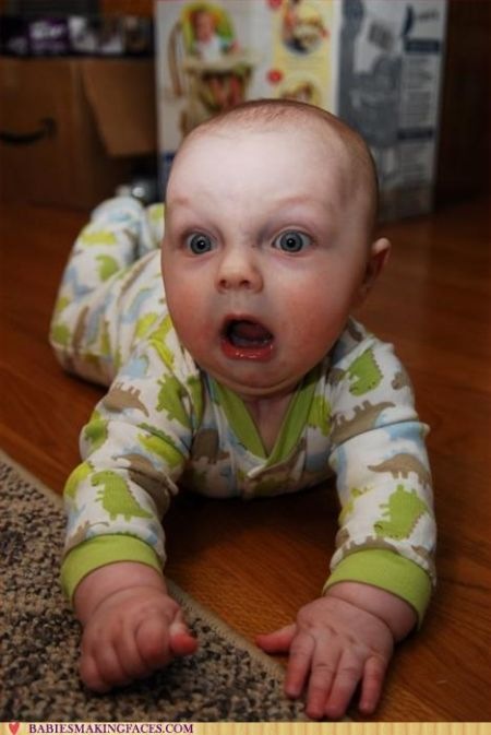 funny_babies_faces_47[1]