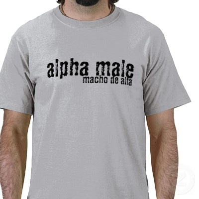 [alpha_male_macho_de_alfa_tshirt-p2350219566017785943ly8_400[4].jpg]