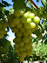 DSCN0762.JPG