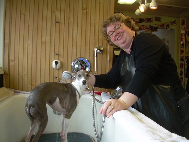 [DSCN44832.jpg]