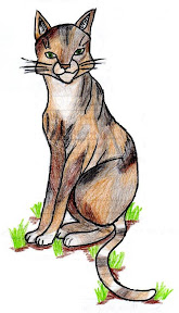 Dawnspots drawing