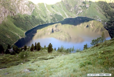 ... Clique pour voir les traces de l'ours n°2...