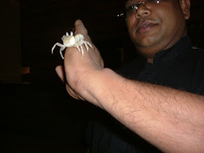 DSCF3672.JPG