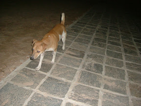 DSCF3679.JPG