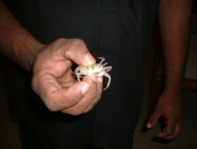 DSCF3670.JPG