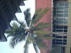 DSCF3680.JPG
