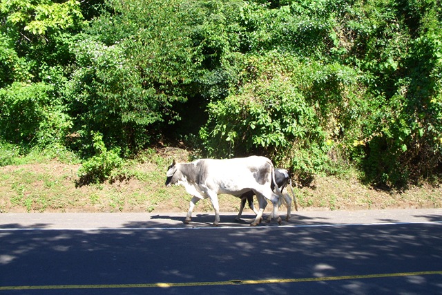 [El Salvador (13)[2].jpg]