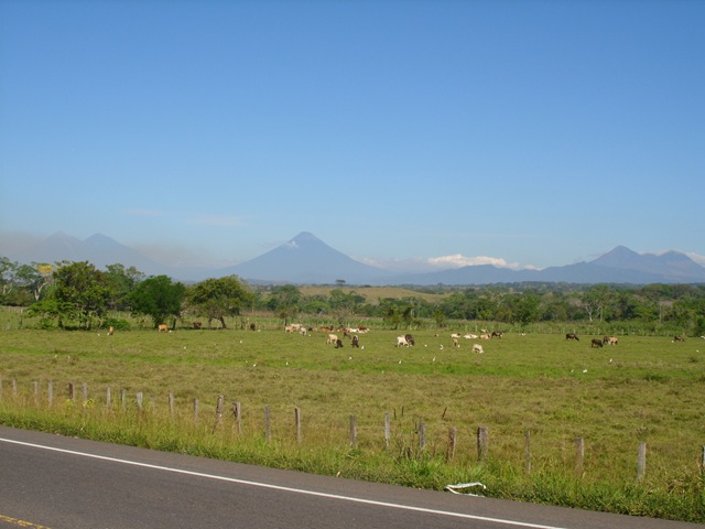 [returningthrumexicoandu.s0132.jpg]