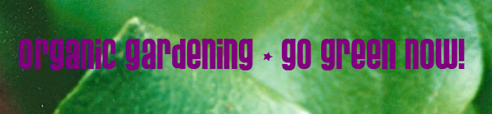Organic Gardening - a beginner\